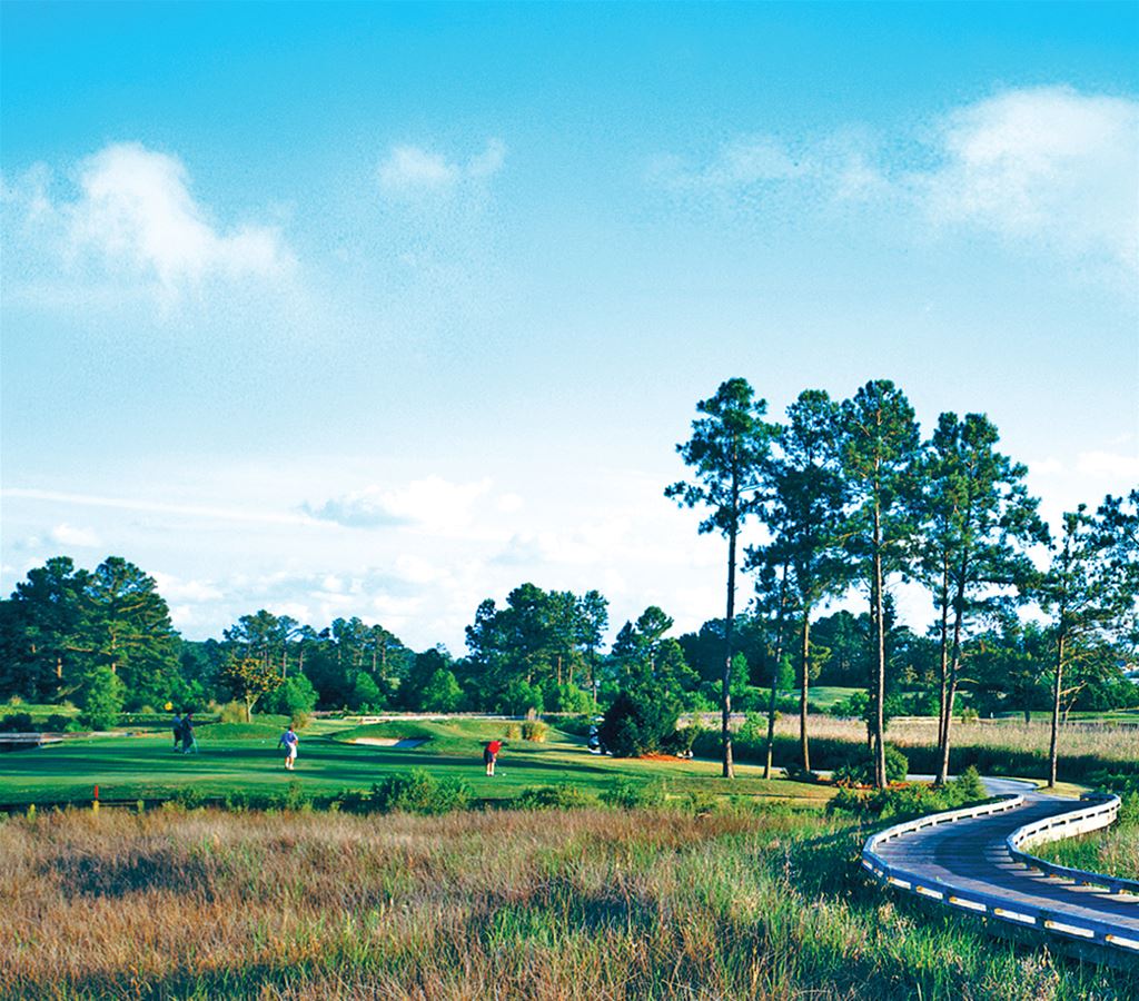 The Bridges Golf Club