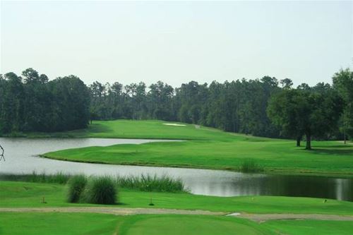 Diamondhead Golf Club -Cardinal in Diamondhead, Mississippi
